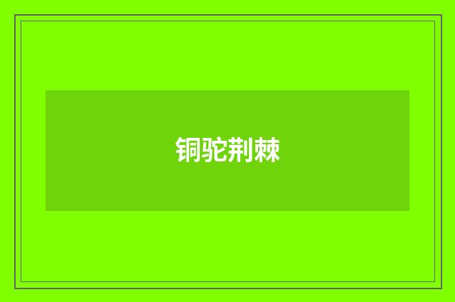 铜驼荆棘