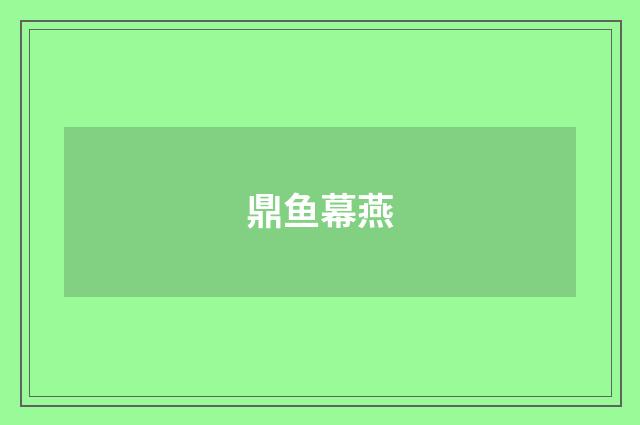 鼎鱼幕燕