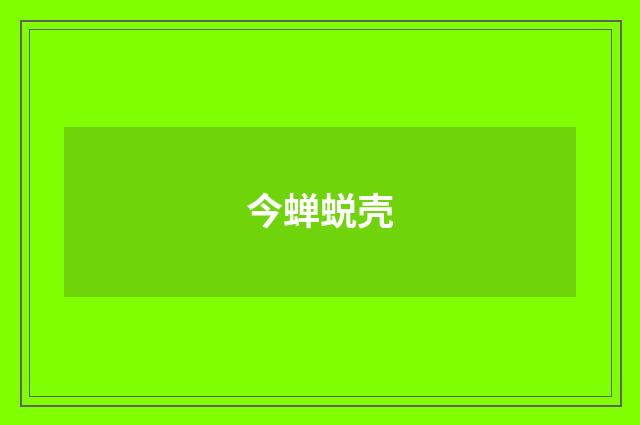 今蝉蜕壳