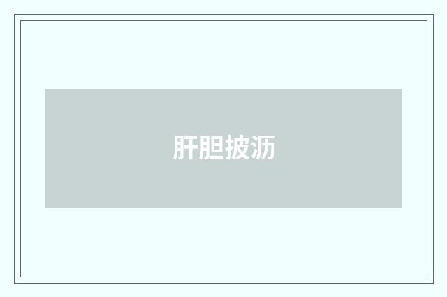 肝胆披沥
