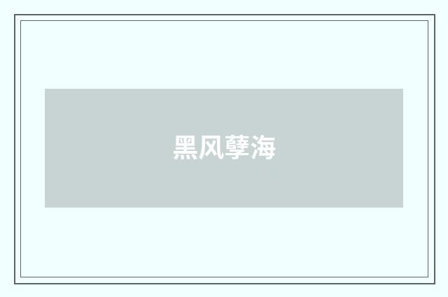 黑风孽海