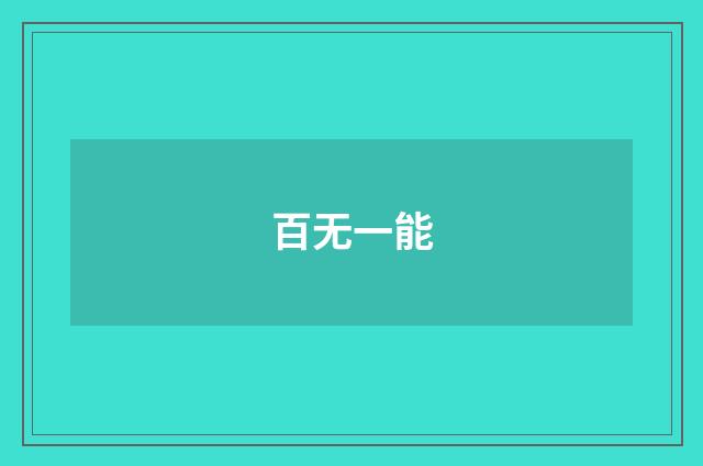 百无一能
