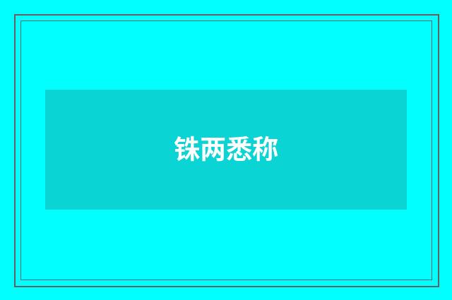铢两悉称