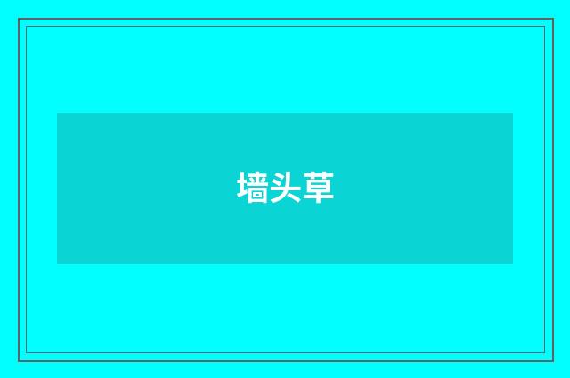 墙头草