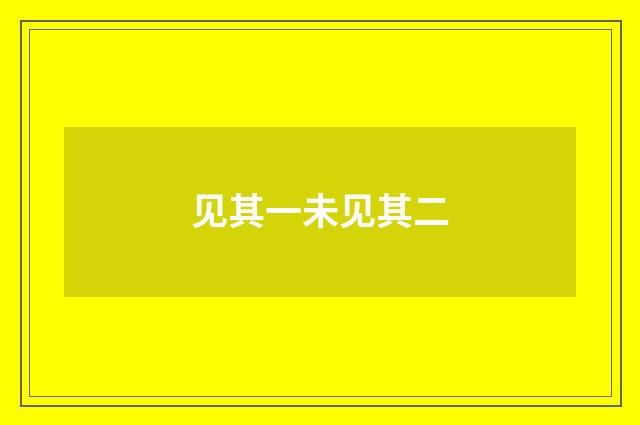 见其一未见其二