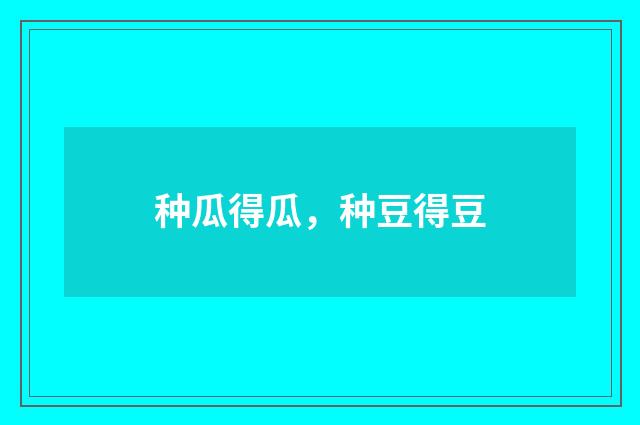 种瓜得瓜，种豆得豆