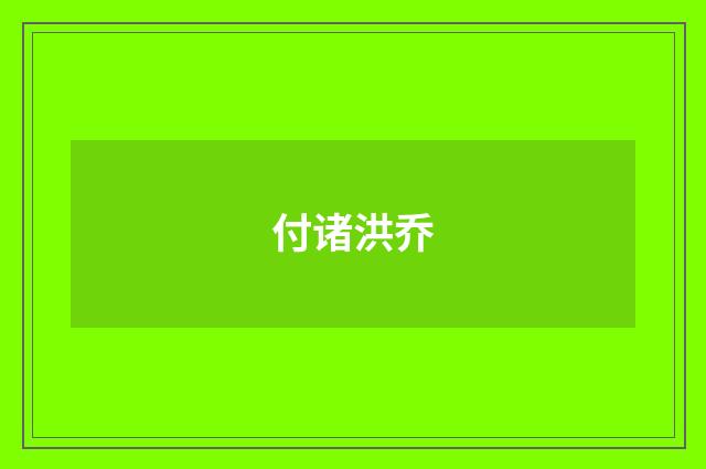 付诸洪乔