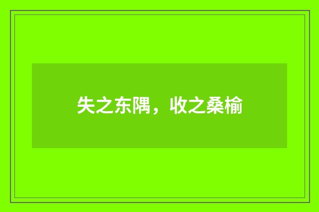 失之东隅，收之桑榆