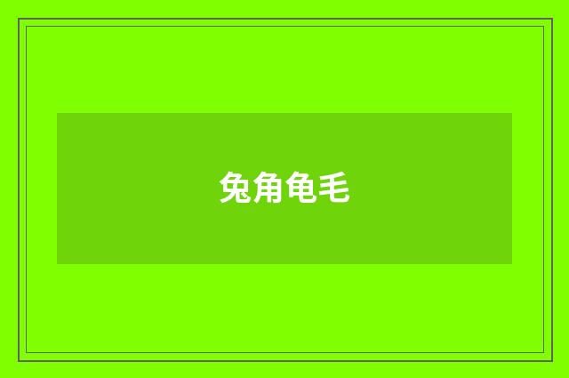 兔角龟毛