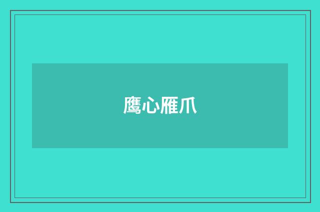 鹰心雁爪