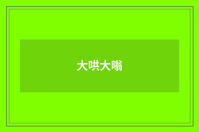 大哄大嗡