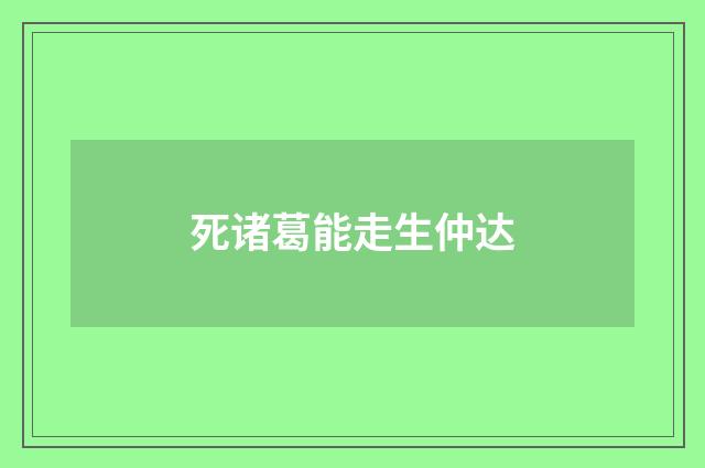 死诸葛能走生仲达