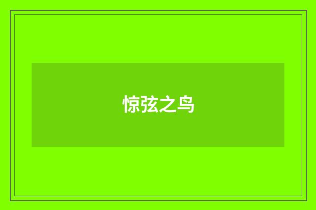 惊弦之鸟