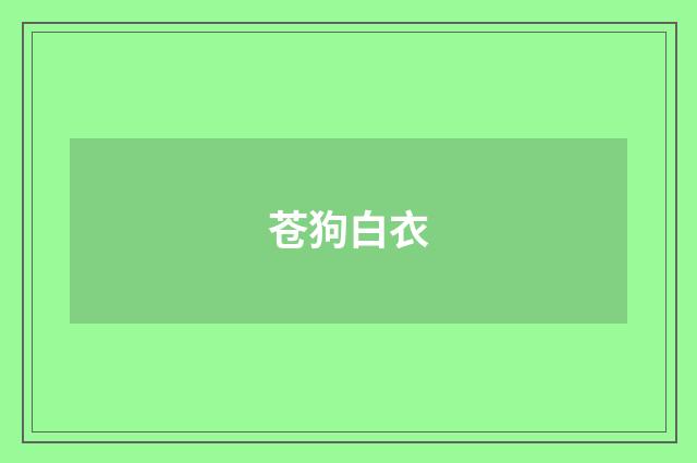 苍狗白衣