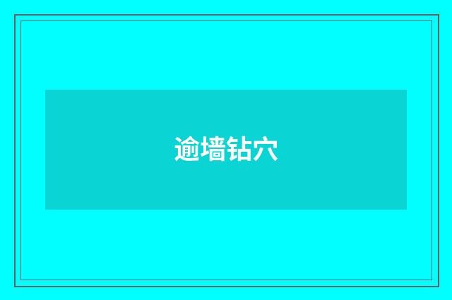 逾墙钻穴