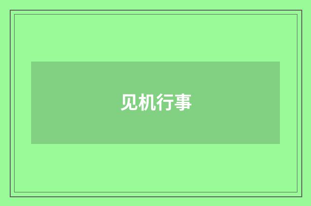见机行事