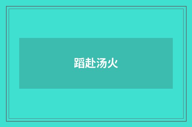 蹈赴汤火