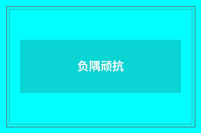 负隅顽抗