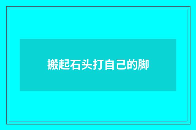 搬起石头打自己的脚