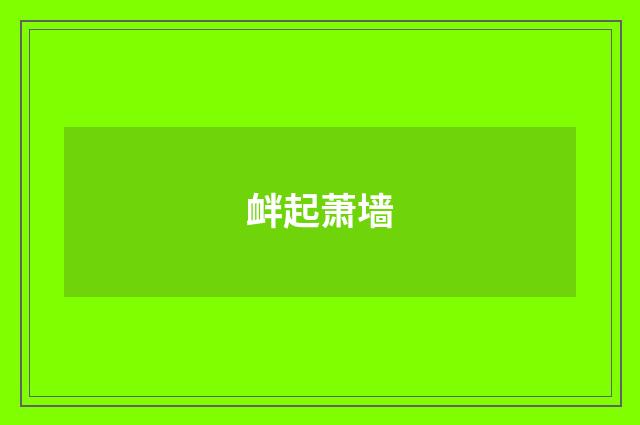 衅起萧墙