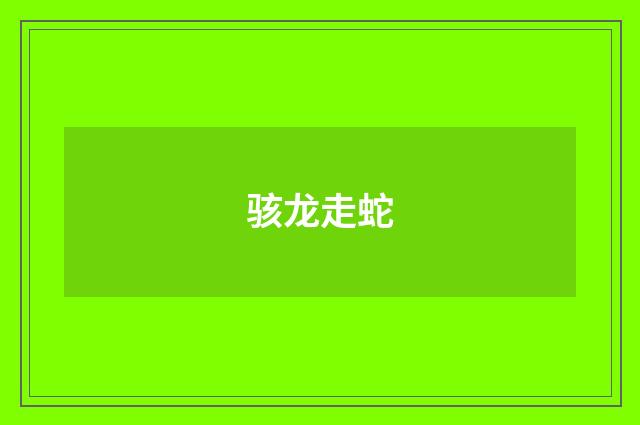 骇龙走蛇