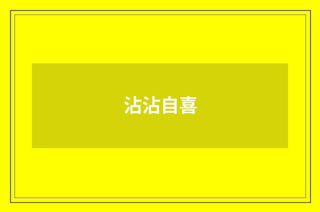 沾沾自喜