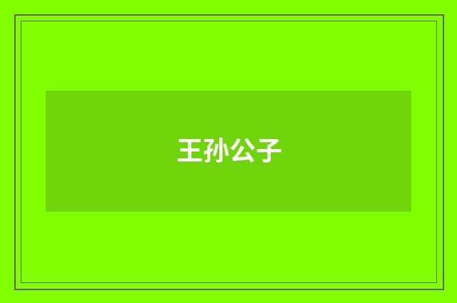 王孙公子
