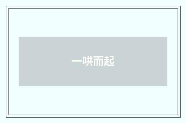 一哄而起