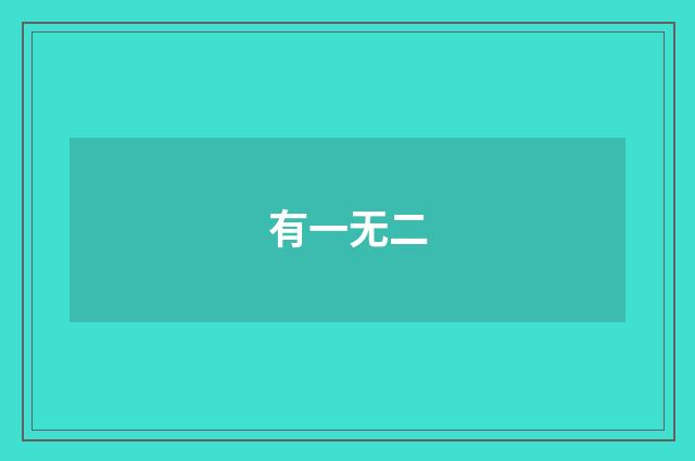 有一无二