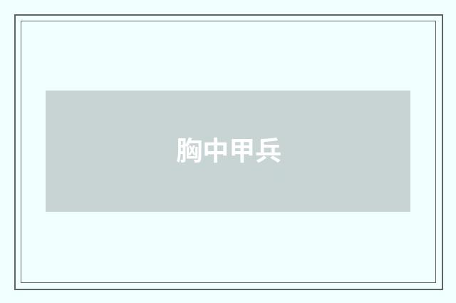 胸中甲兵