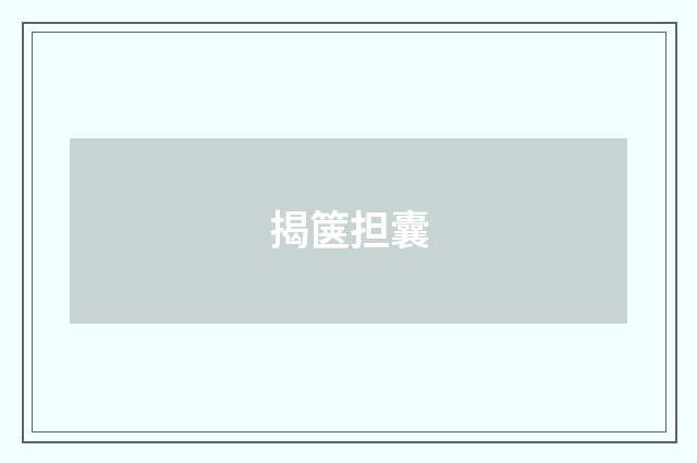 揭箧担囊