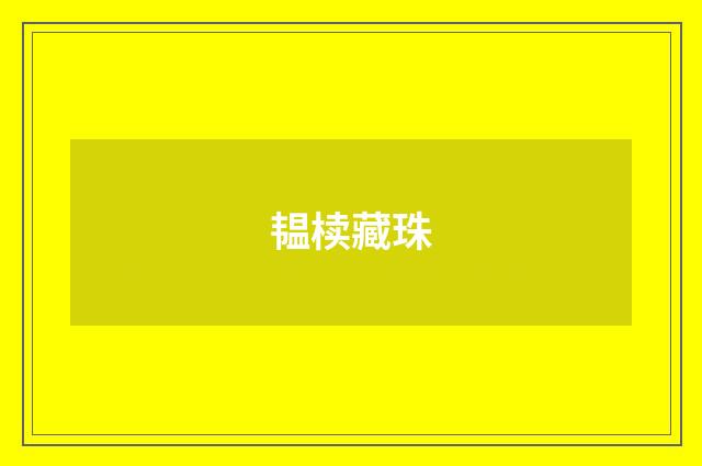 韫椟藏珠