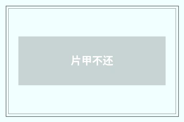 片甲不还