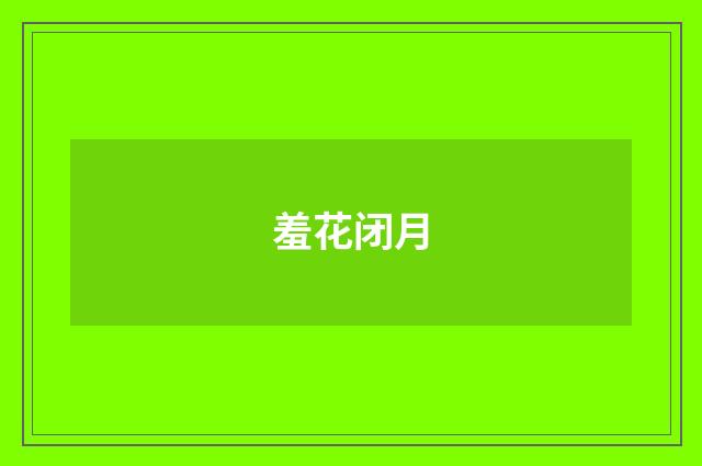 羞花闭月