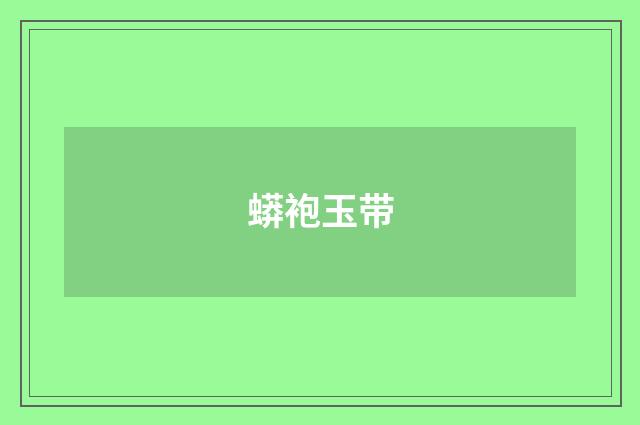 蟒袍玉带