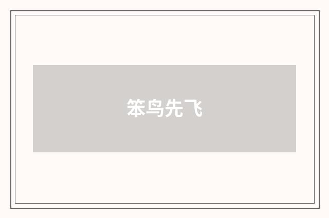 笨鸟先飞