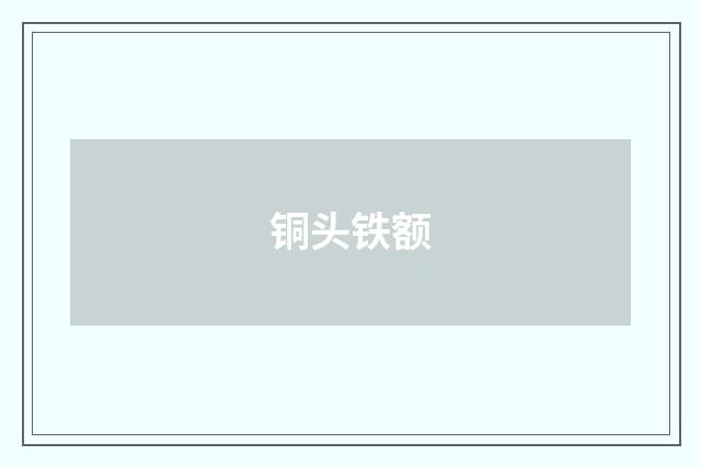 铜头铁额