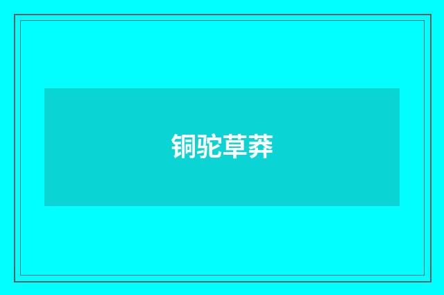 铜驼草莽