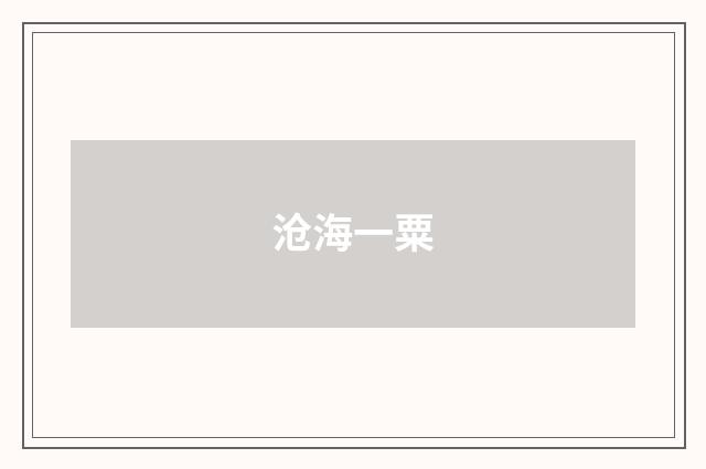 沧海一粟
