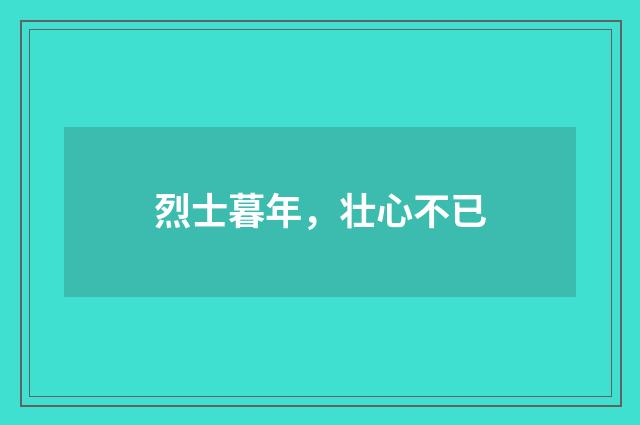烈士暮年，壮心不已