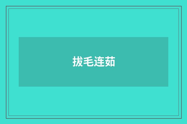 拔毛连茹