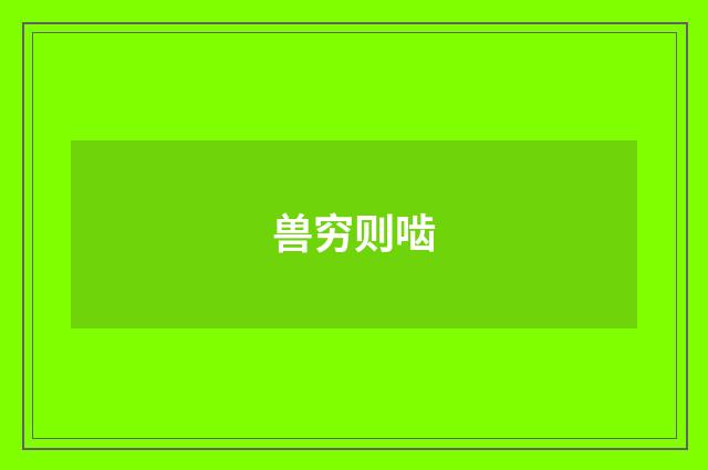 兽穷则啮