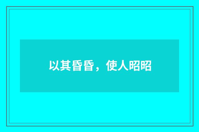 以其昏昏，使人昭昭
