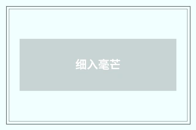 细入毫芒