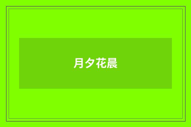 月夕花晨