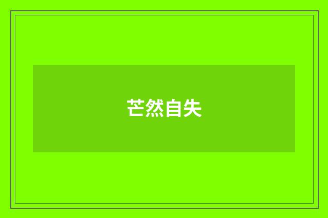 芒然自失