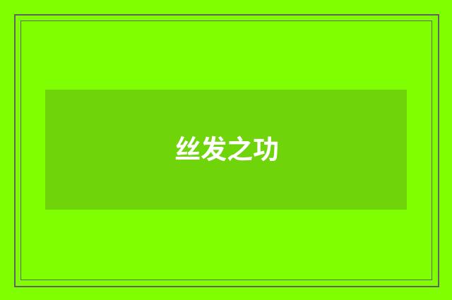 丝发之功