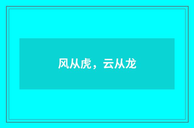 风从虎，云从龙