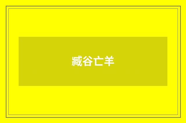臧谷亡羊