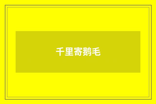 千里寄鹅毛